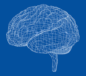 3d outline brain rendering of vector