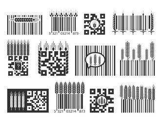 Barcode and qr code with wheat shopping price vector