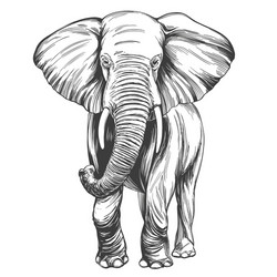 Elephant Tattoos Vector Images (over 3,300) Elephant Tattoos Vector Images (over 3,300)