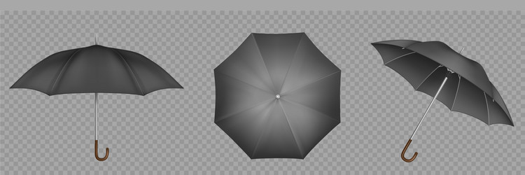 Black umbrella parasol top side and front view vector