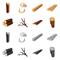 isolated object tree and raw symbol collection vector image