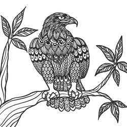 Vintage American Eagle Engraving Royalty Free Vector Image