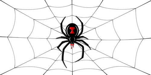 spider black widow cobweb red 3d vector image