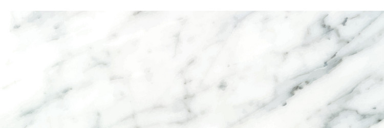 Elegant Marble Texture Vector Image