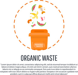 gathering sorting process of garbage vector image
