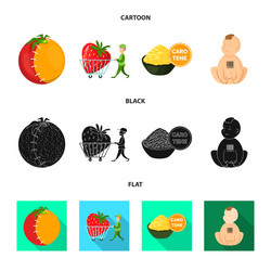isolated object of test and synthetic icon vector image