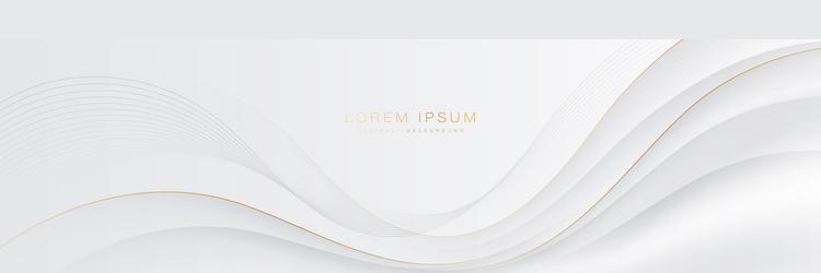 white and grey wave abstract background vector image