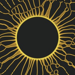array with dynamic particles texture glowing vector image