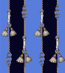 seamless pattern with belt and chain vector image