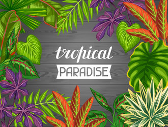Tropical Leaf Card - Paradise Vector Image
