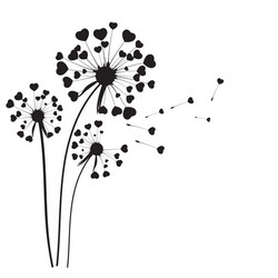 abstract dandelion background vector image