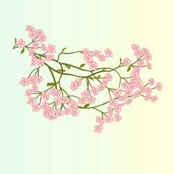 Spring flower pink lily daylily Royalty Free Vector Image