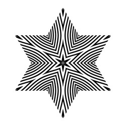 design element in star shape vector image