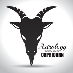 astrological signs of the zodiac Vector Image