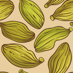 cardamom seeds pattern on color background vector image