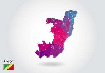 polygonal congo map low poly design made vector image