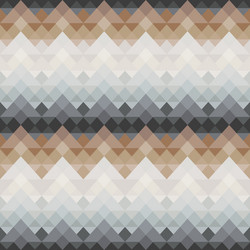 Scandinavian Zigzag Pattern vector image
