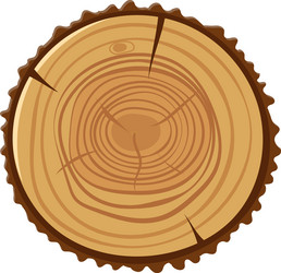tree trunk section displaying detailed growth vector image