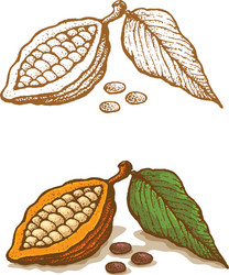 Cocoa Tree Vector Images (over 2,900)