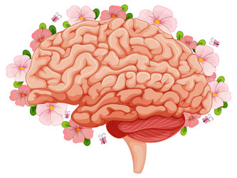 human brain with pink flowers vector