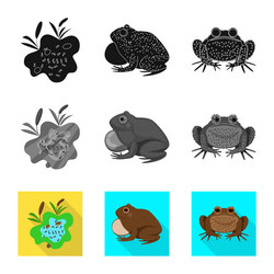 isolated object wildlife and bog icon vector image