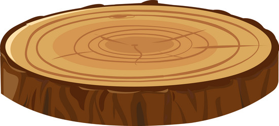 tree trunk cross section revealing distinct growth vector image