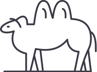 camel line icon concept linear vector image