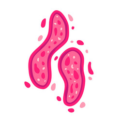 virus germs and bacteria design objects character vector image
