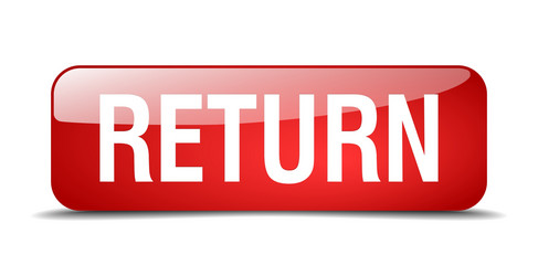 return red square 3d realistic isolated web button vector image