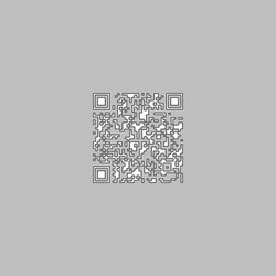 qr code computer symbol vector image