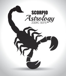 astrological signs of the zodiac Vector Image