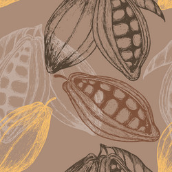 Cocoa Bean Seamless Pattern vector image