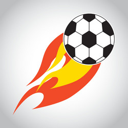 soccer sport Vector Image