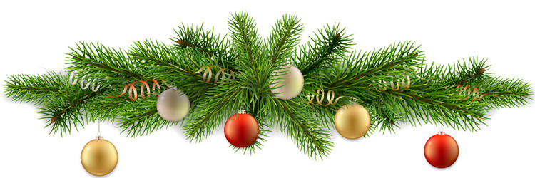 detailed decor fir branch ball vector