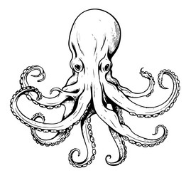 squid ink sketch isolated on white background vector image