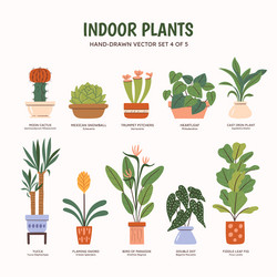 indoor plants - colorful set 4 of 5 Vector Image