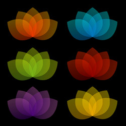 graceful lotus with 5 petals vector image