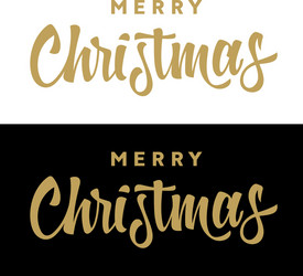 Merry Christmas Typography vector image