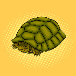 turtle hiding in shell pop art vector image