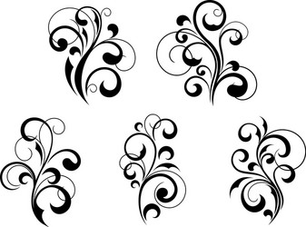 Scrolling calligraphic floral design Royalty Free Vector