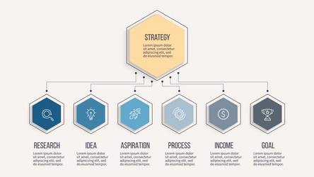 Business infographic organization chart with 6 vector