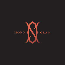 Ns initial wedding monogram logo Royalty Free Vector Image
