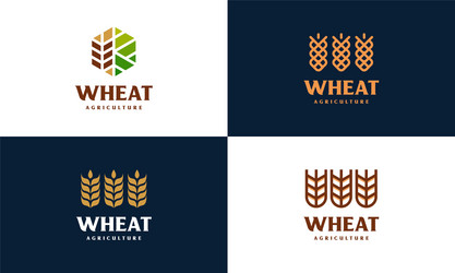 Set of luxury grain wheat logo concept vector