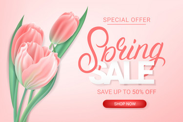 Spring sale discount banner template vector