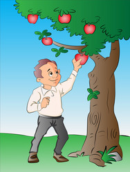 man picking apples from a tree vector image