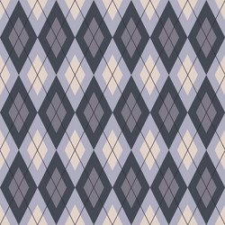 Diamond Check Pattern - Argyle Style vector image