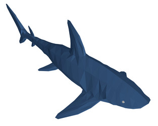 Low poly blue shark 3d isometric view vector