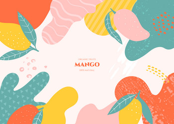 frame with doodle mango and abstract elements vector image