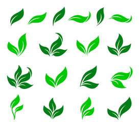 Green Leaf Icon Set - Isolated Royalty Free Vector Image