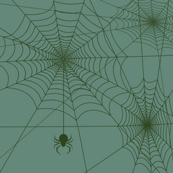 Spider web vector